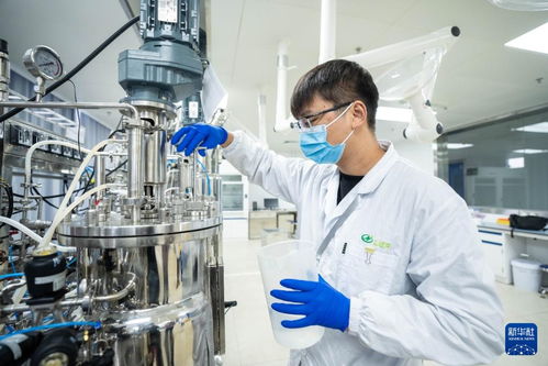 湖南津市 生物制造產業加速發展，技術推廣引領產業升級