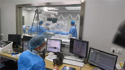 科技前沿新突破 我國首例自主研發介入式腦機接口完成動物試驗
